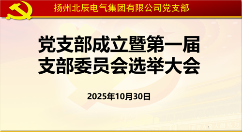 扬州北辰电气集团有限公司召开党支部成立暨第一届支部委员会选举大会胜利召开